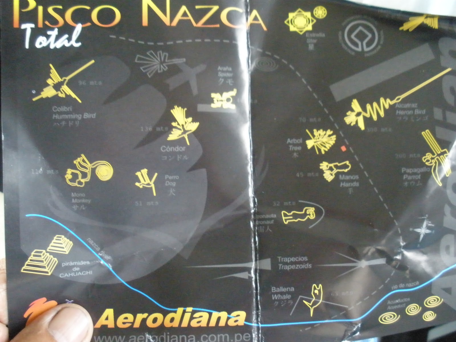 Nazca Lines Orca
