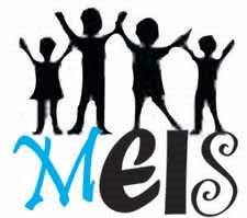 meis logo