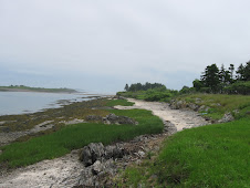looking down the  Island