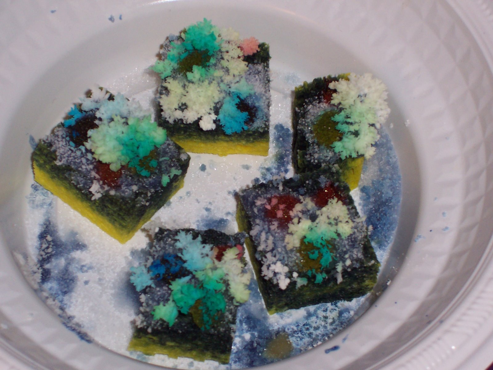 Home Chemistry How does your crystal garden grow?