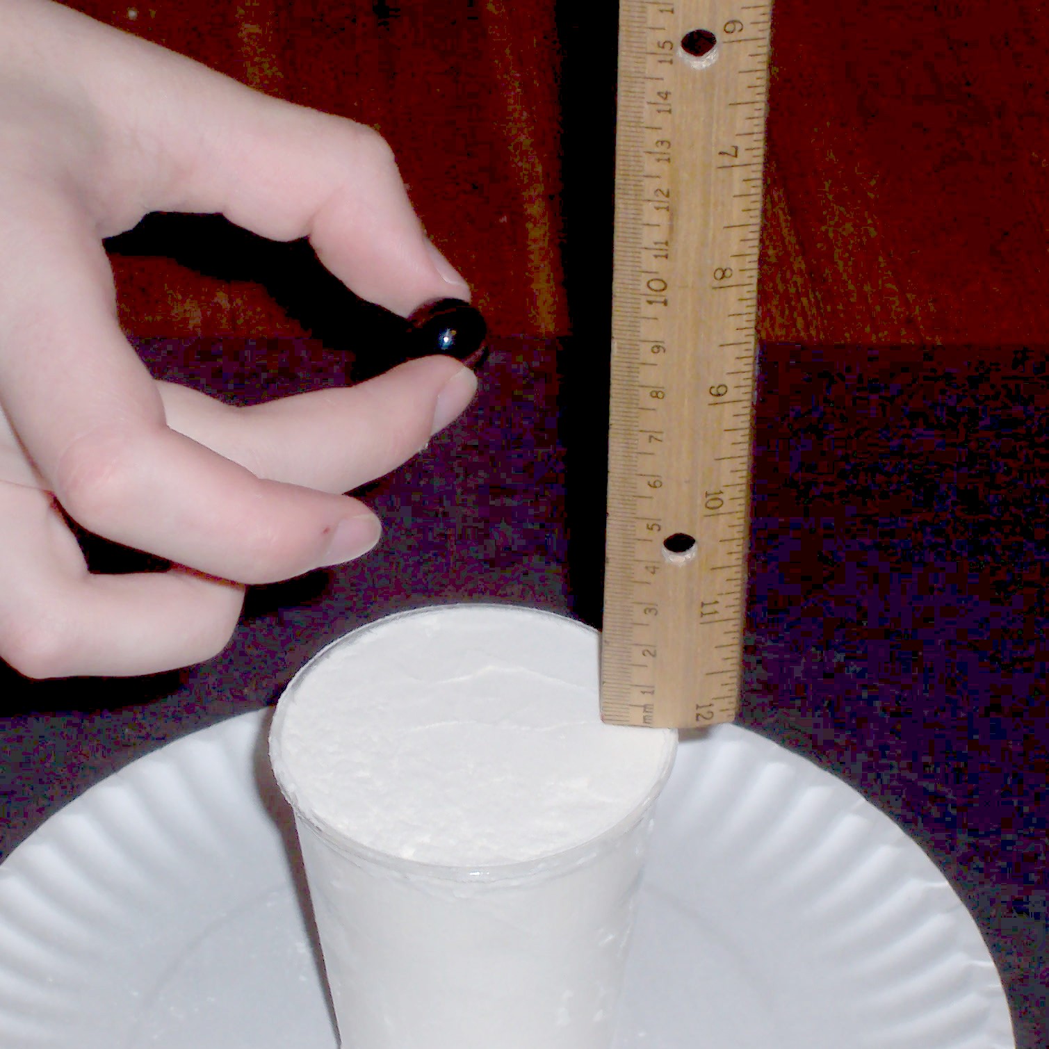 lab ruler