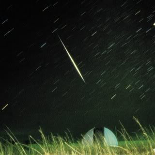 http://2.bp.blogspot.com/_YuR6V_Yr7Bk/TQOlqDnMudI/AAAAAAAAGvU/5nRv2unQ84s/s400/geminid-meteor-shower.jpg