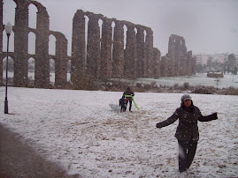 Por fin nevó..después de 27 años