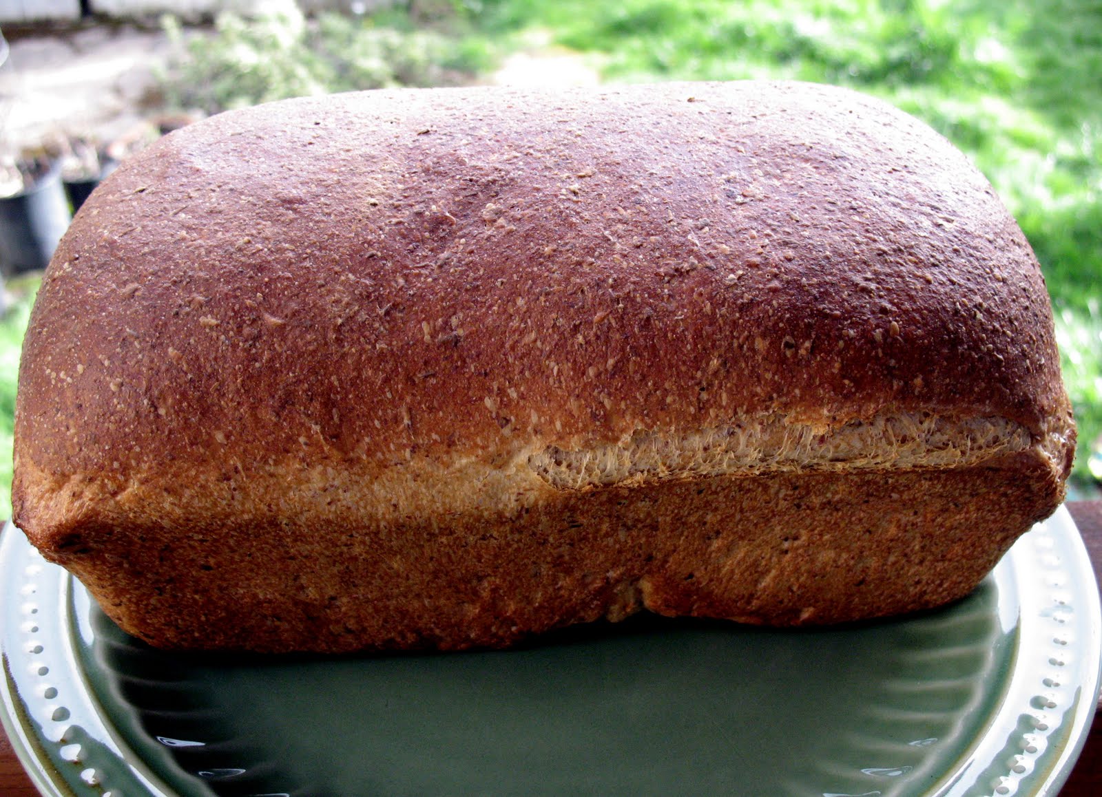 Honey Oatmeal Flax Bread Recipe mostly foodstuffs