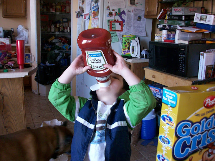 More Ketchup Please