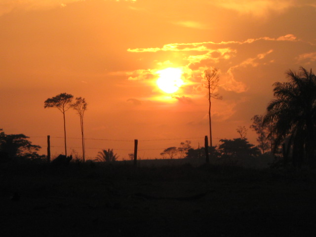 [IMG_5696.jpg]