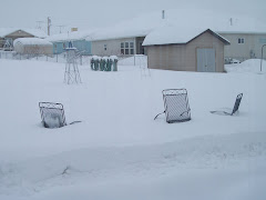 Winter lawn chairs