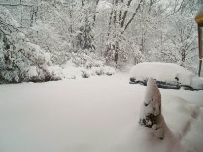[FebSNOW1bl.jpg]