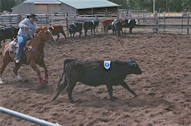 "RANCH SORTING" COMPETITION