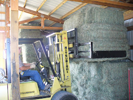 THE "ONLY" WAY TO STACK HAY