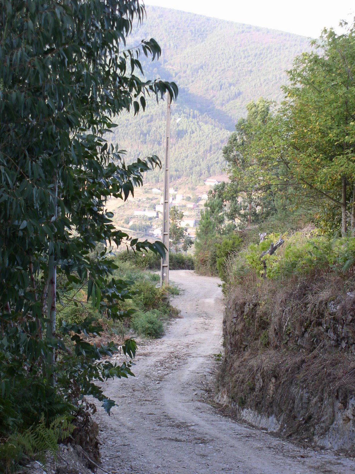 [P1010047.JPG]