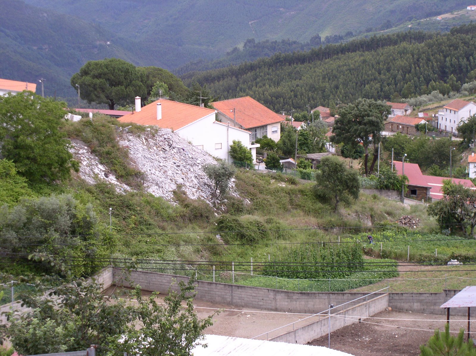 [P1010096.JPG]
