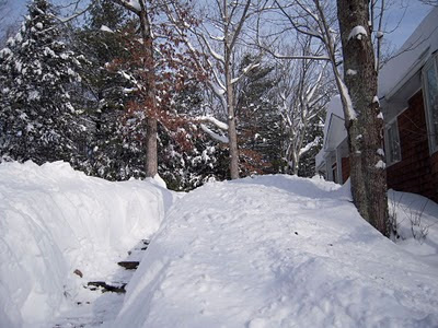 Burger's Onion: Snow Days