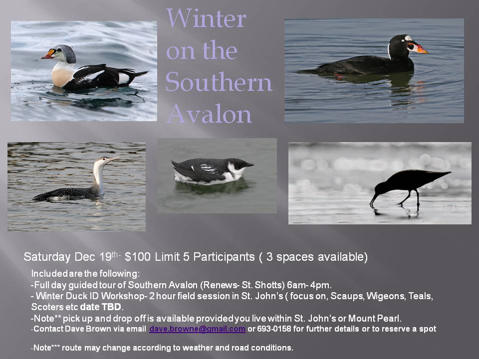 [Winter+On+the+Avalon+Tour+(Workshop).jpg]