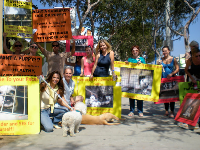 Get some friends and protest a pet store today.