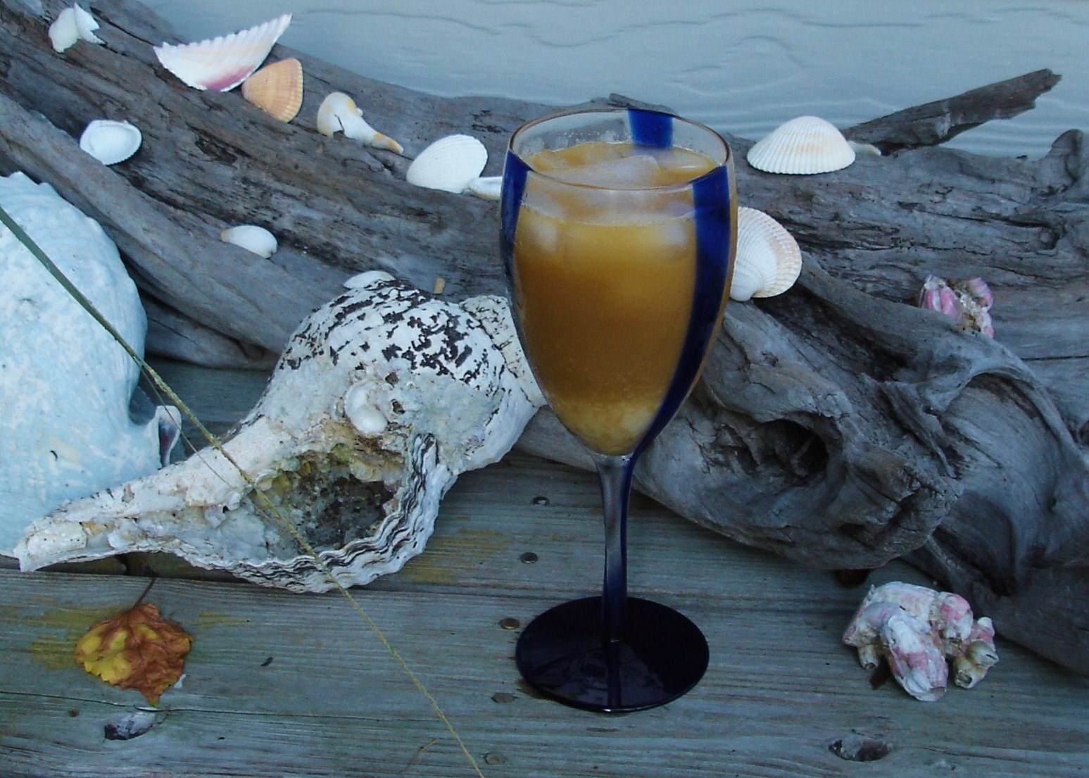 navy times spice article