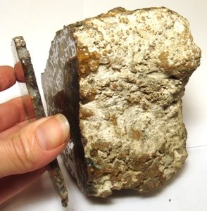Meteorite Seymchan large endcut and slice