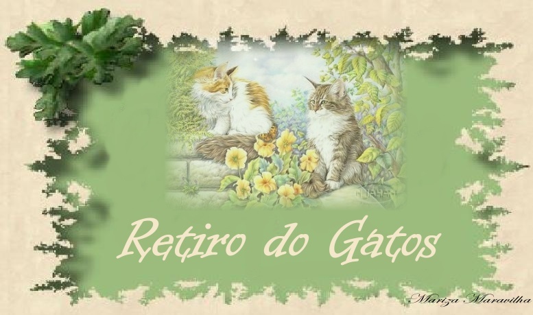 Retiro dos meus gatos