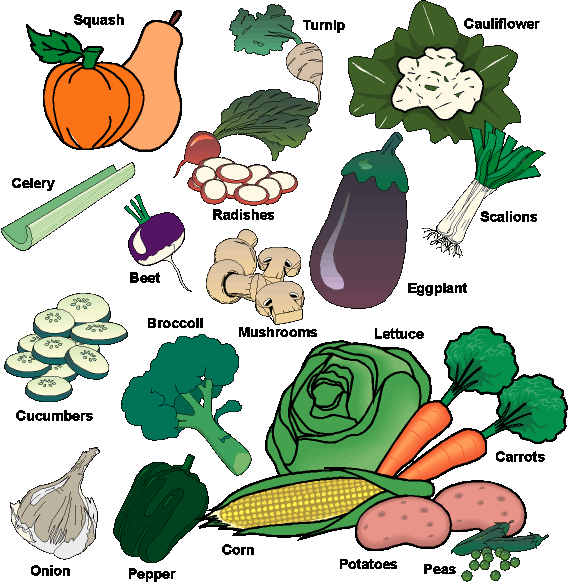 [vegetables2.gif]