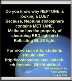 Edit Video Background Software