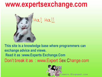 Mispronounced urls,silly domain names having double meaning,expertsexchange.com
