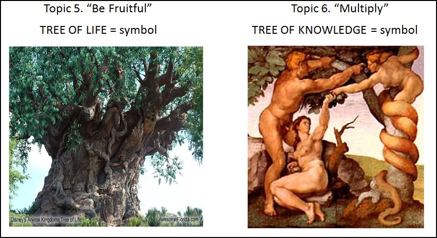 [TreeSymbols.JPG]