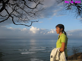 Diamond Head Beach