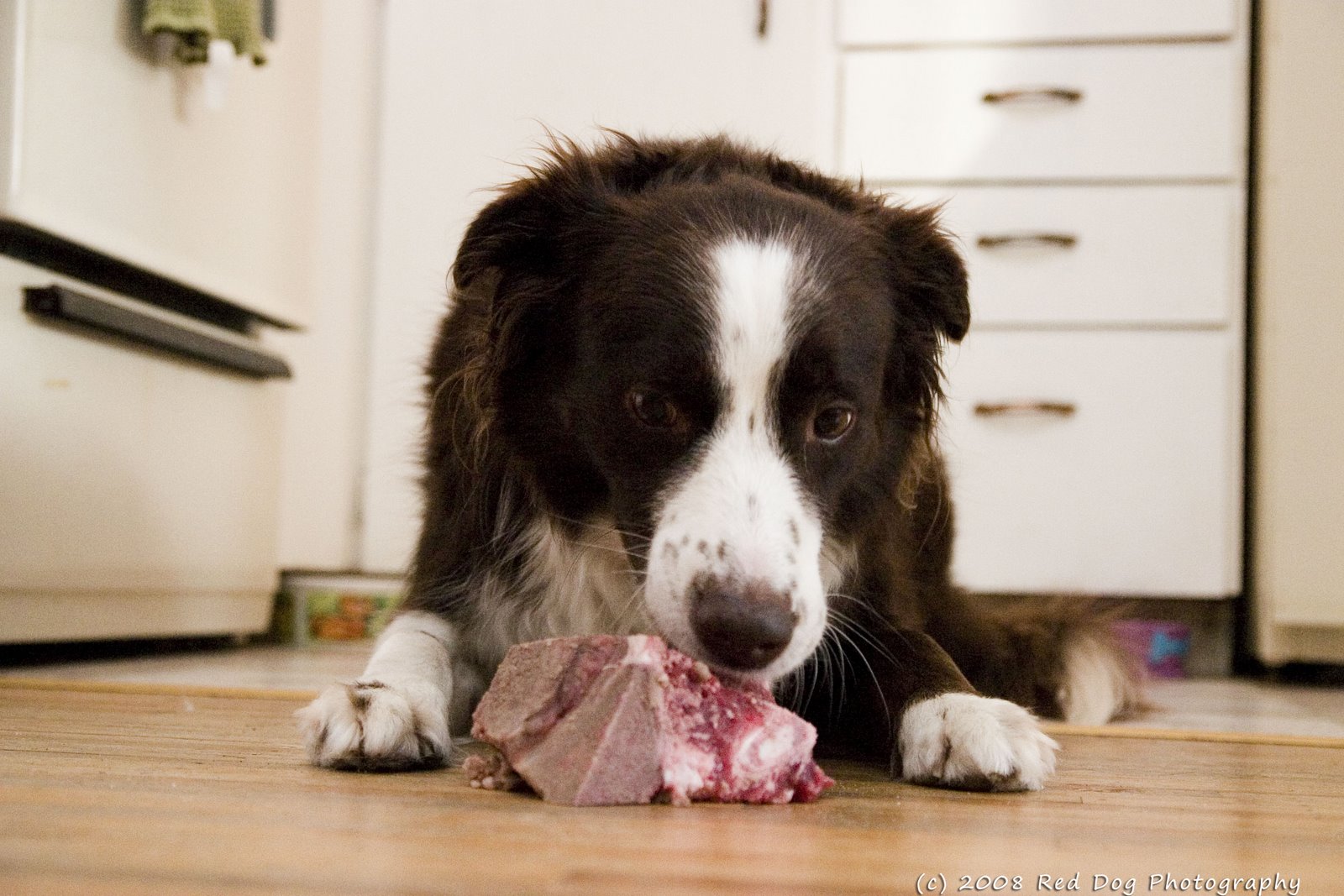 [Tweed+this+meat+copy.jpg]