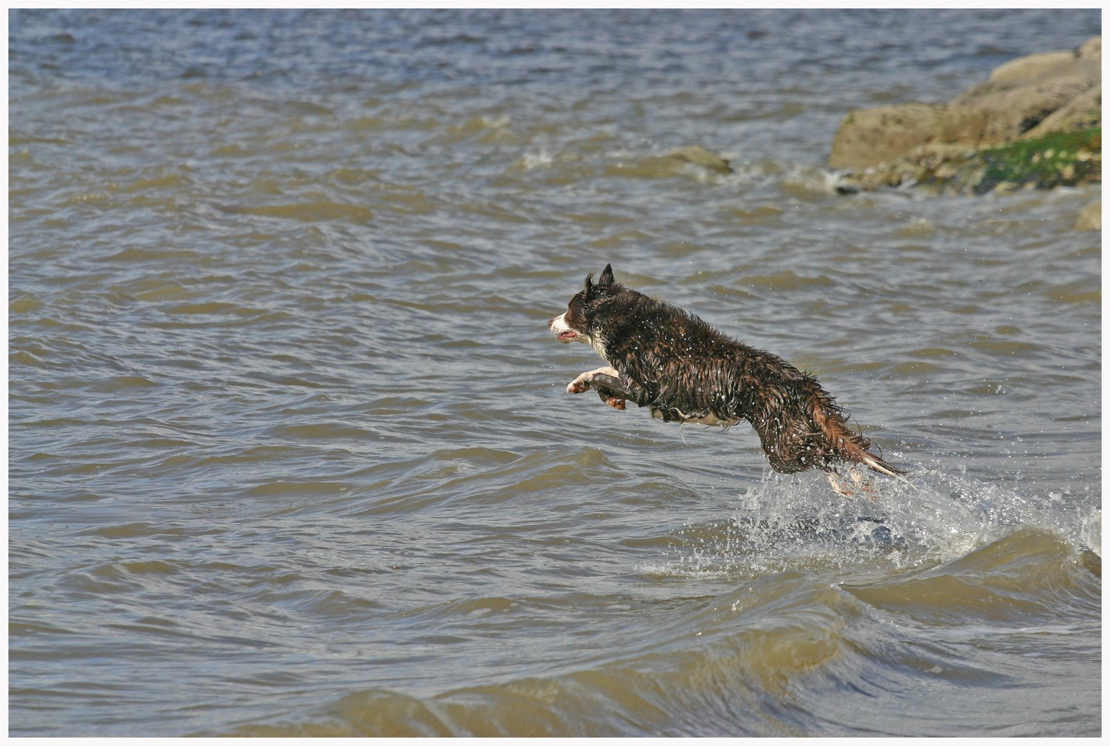 [tweed+leap.jpg]