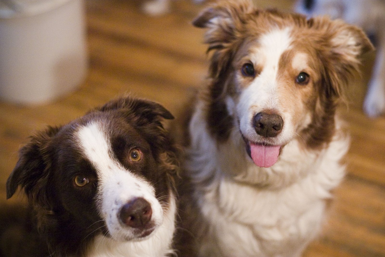 [tandrd.JPG]