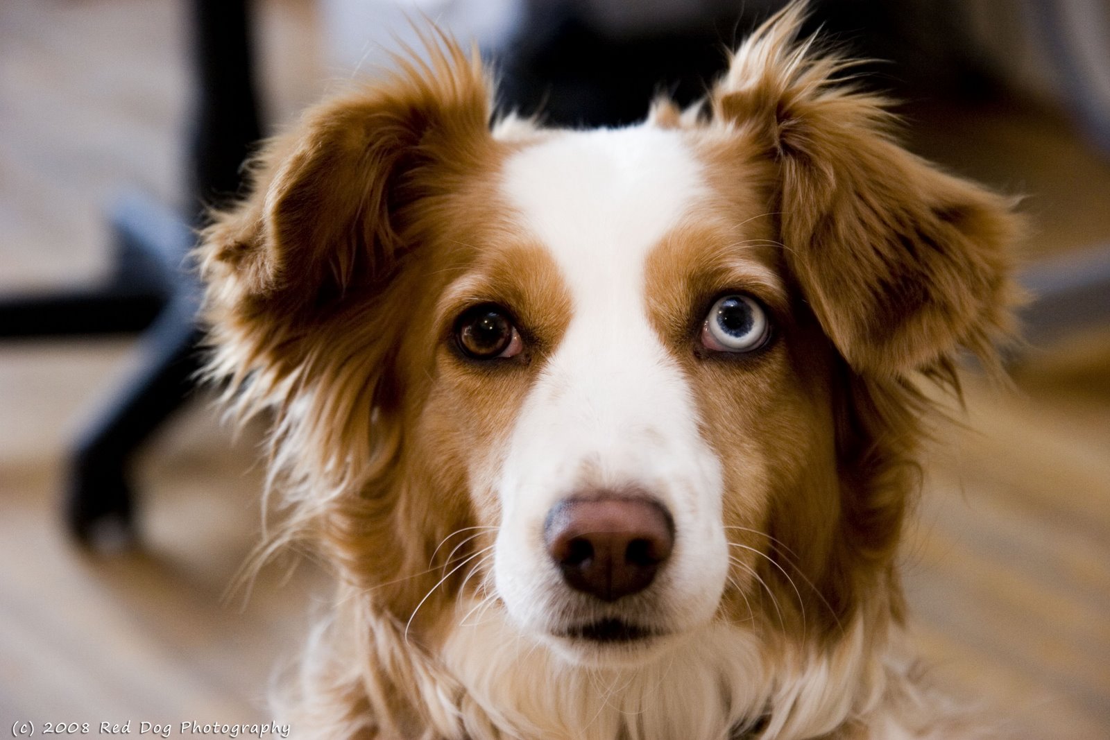 [woos+copy.jpg]