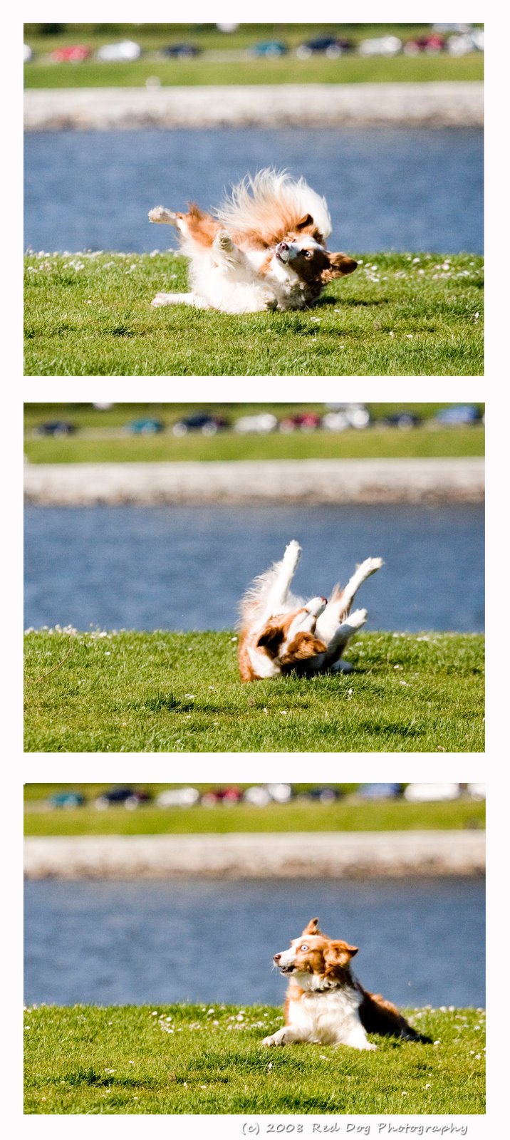 [woo+fall+sequence.jpg]
