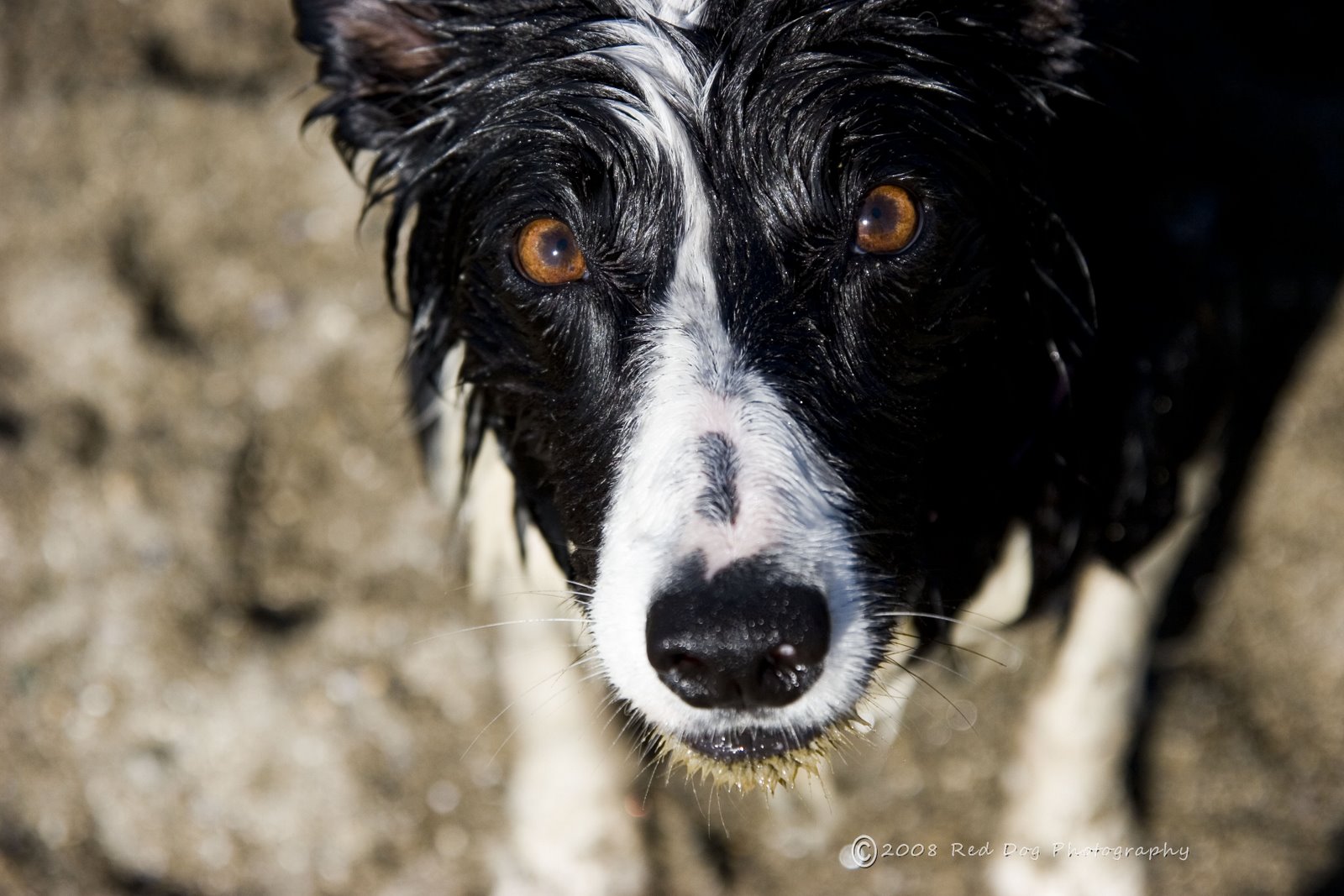 [please+throw+it.jpg]