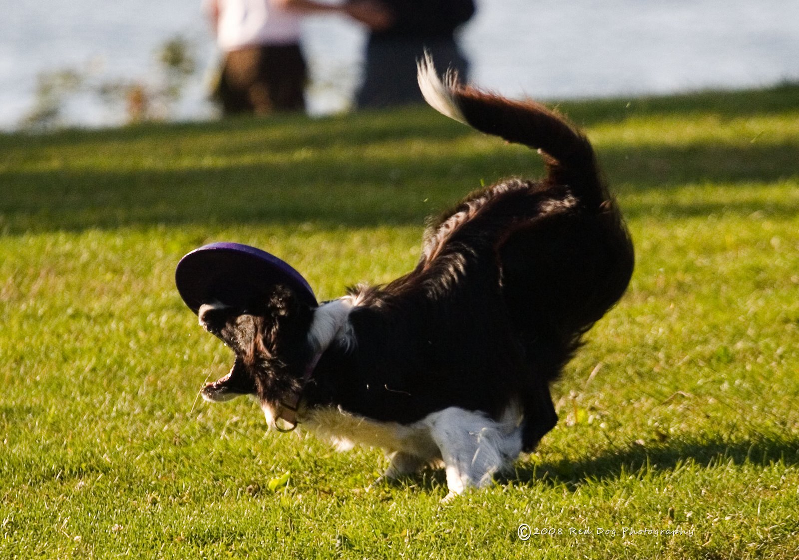 [frisbee+hat.jpg]