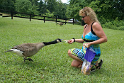 Feeding ... what writing is all about