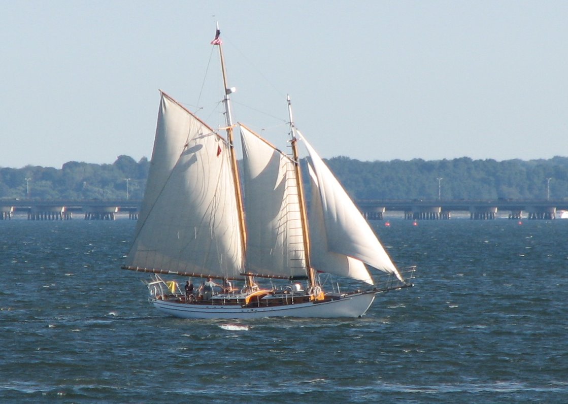 [Schooner.jpg]