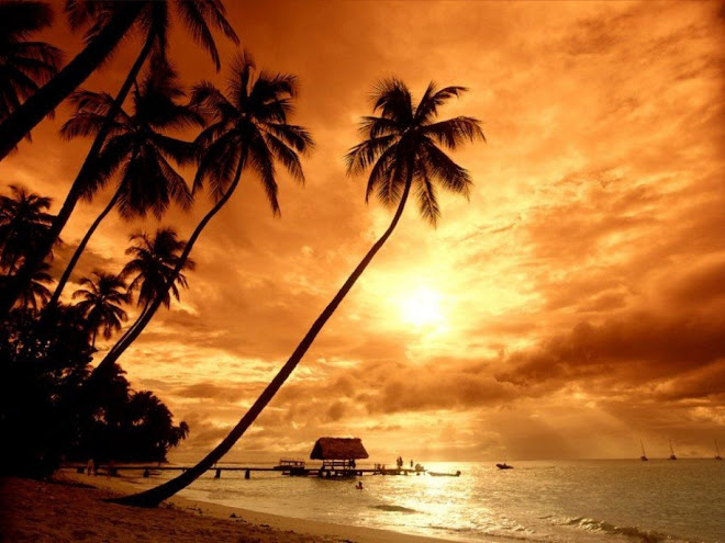 Sunset in Paradise