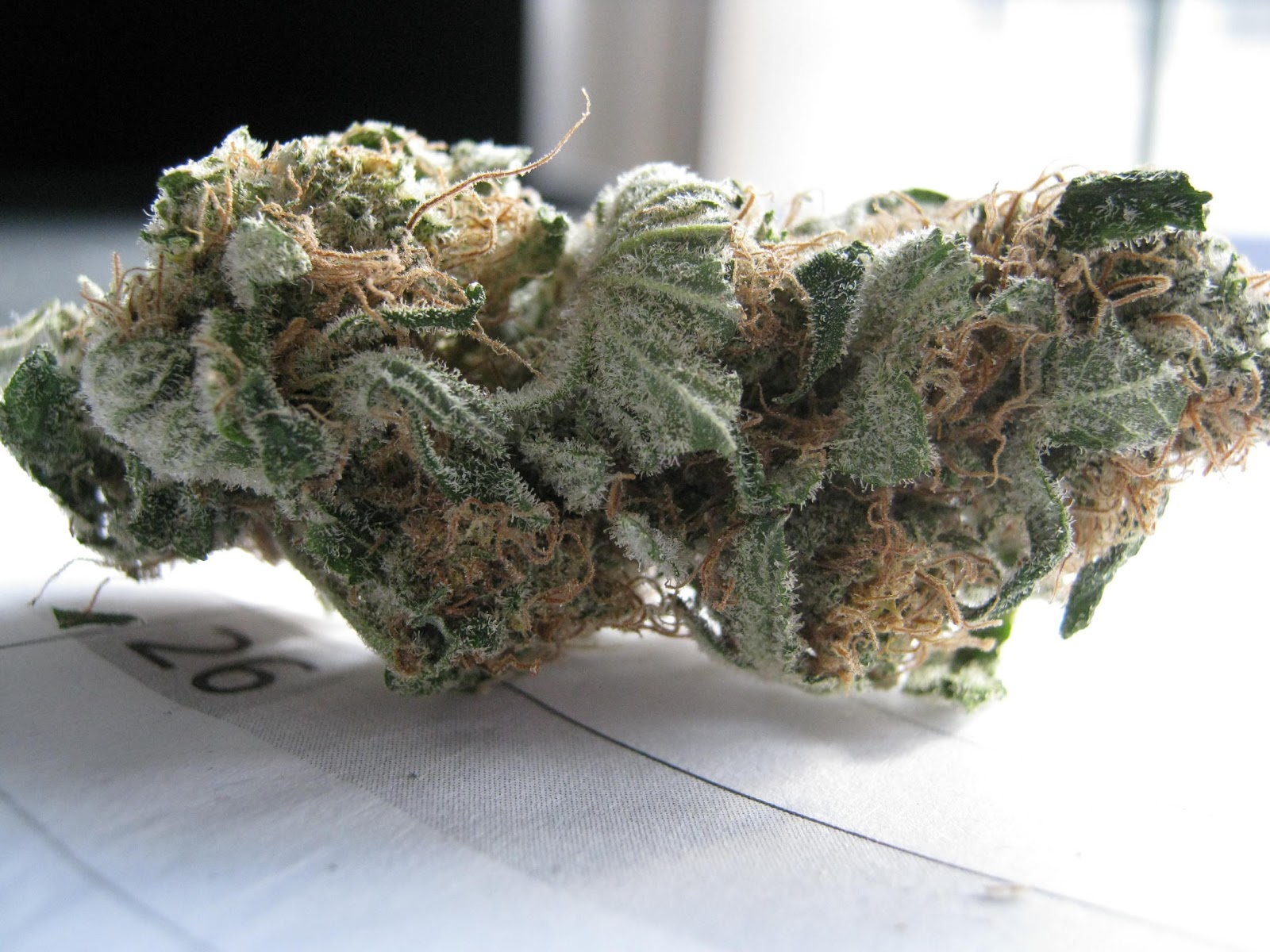 [verlinkte Grafik wurde nicht gefunden]