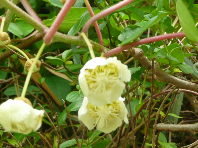 [P1240704.JPG]