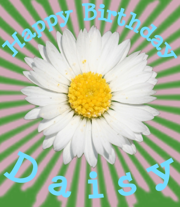 happy birthday quotes for happy birthday quotes for aunts. happy birthday quotes for