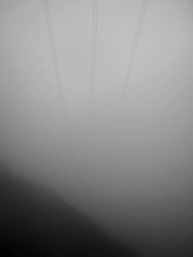 [Power+Lines+In+The+Fog.jpg]