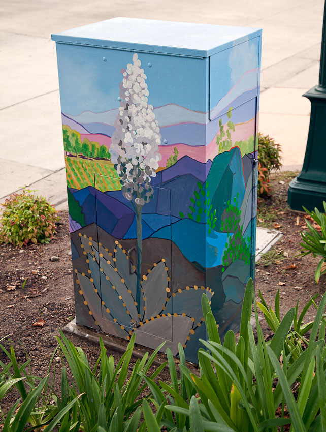 Painted Utility Box 4