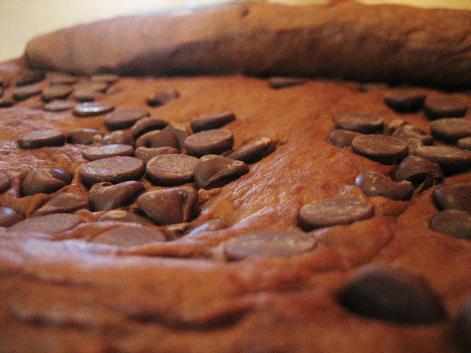 [chocolatebread+028.JPG]