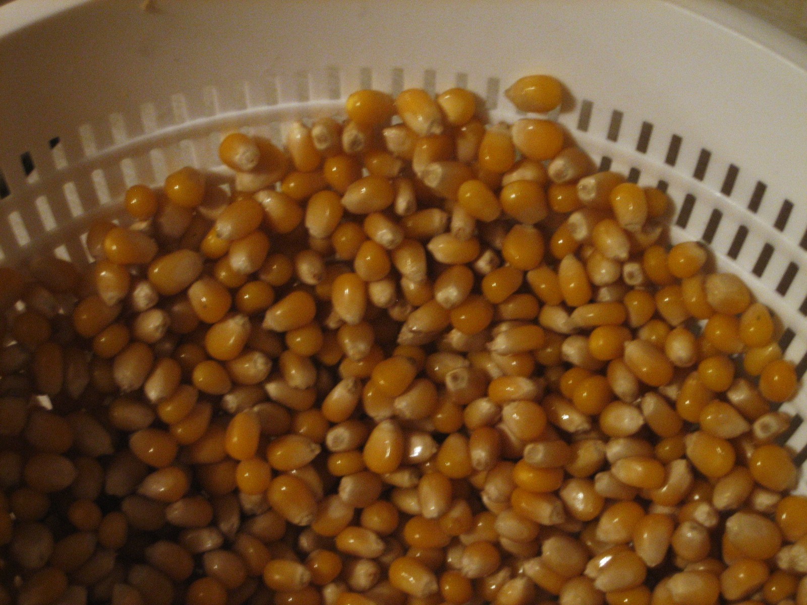 [polenta.popcorn+013.JPG]