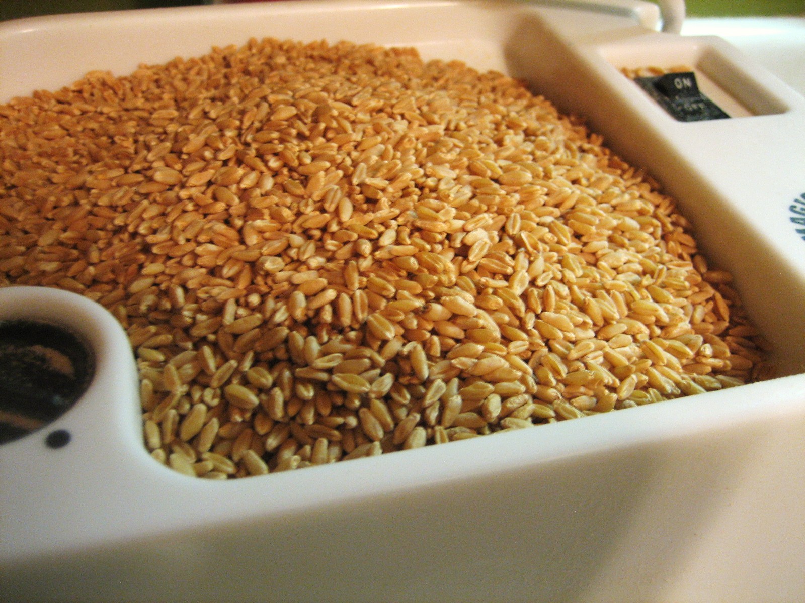 [flourmakingday+013.JPG]