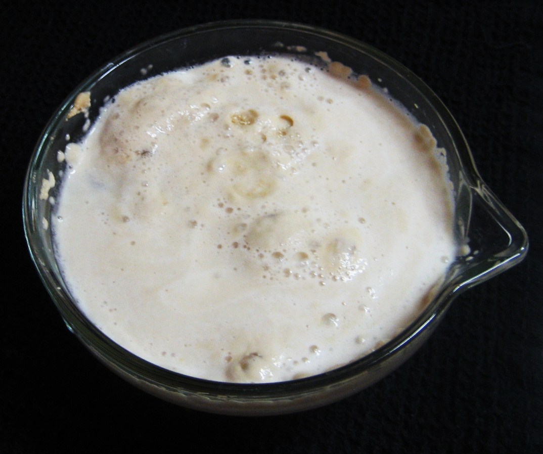 [yeastproof+005.JPG]