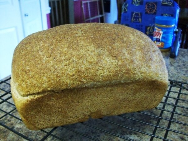 [Erinsproutedbread.jpg]