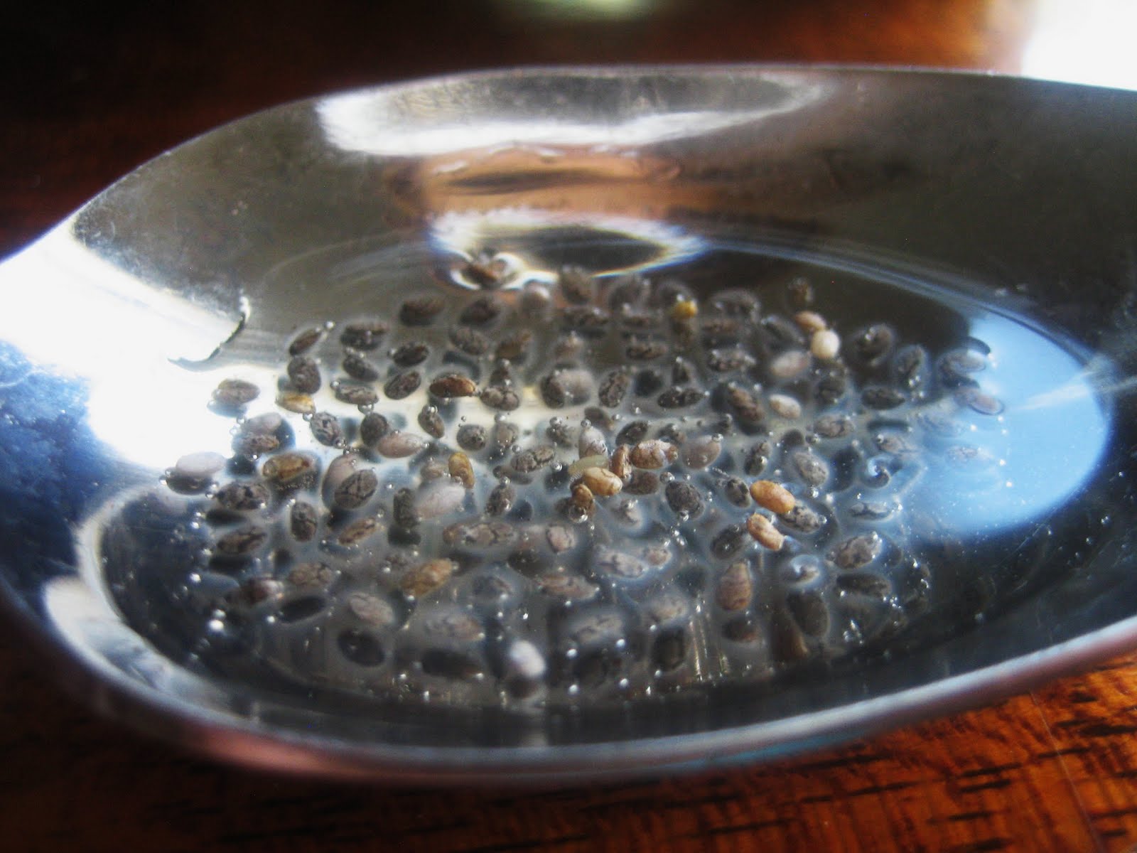 Chef Tess Bakeresse Chia Seed...The Buzz word in Super Grain