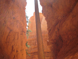 Bottom of Bryce Canyon