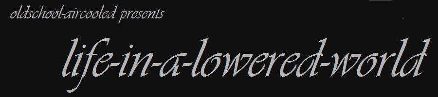 life in a lowered world